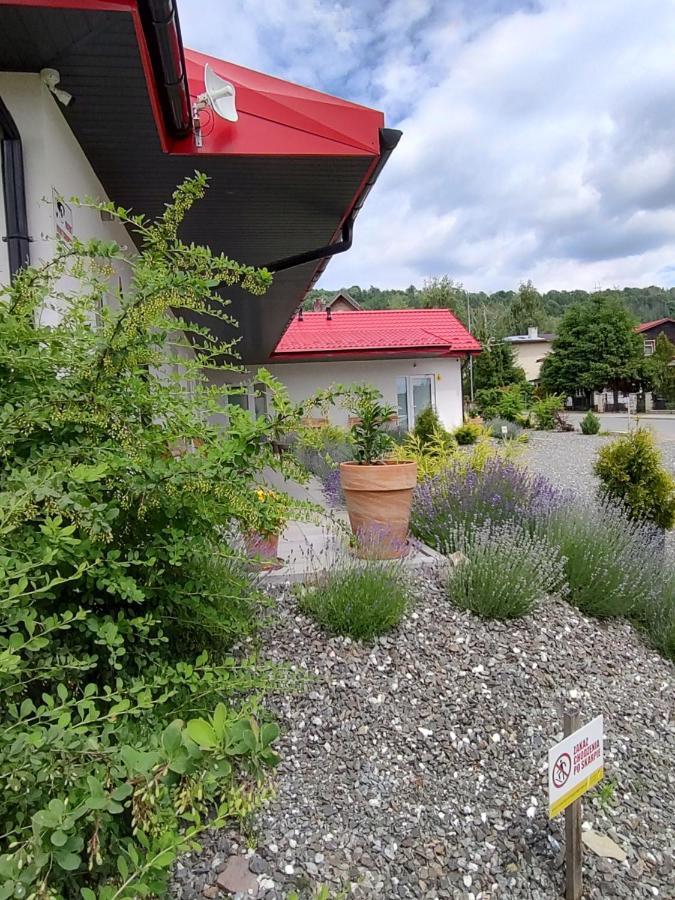 Pokoje Pod Grusza -Osobne Wejscia Kudowa-Zdrój Exterior foto