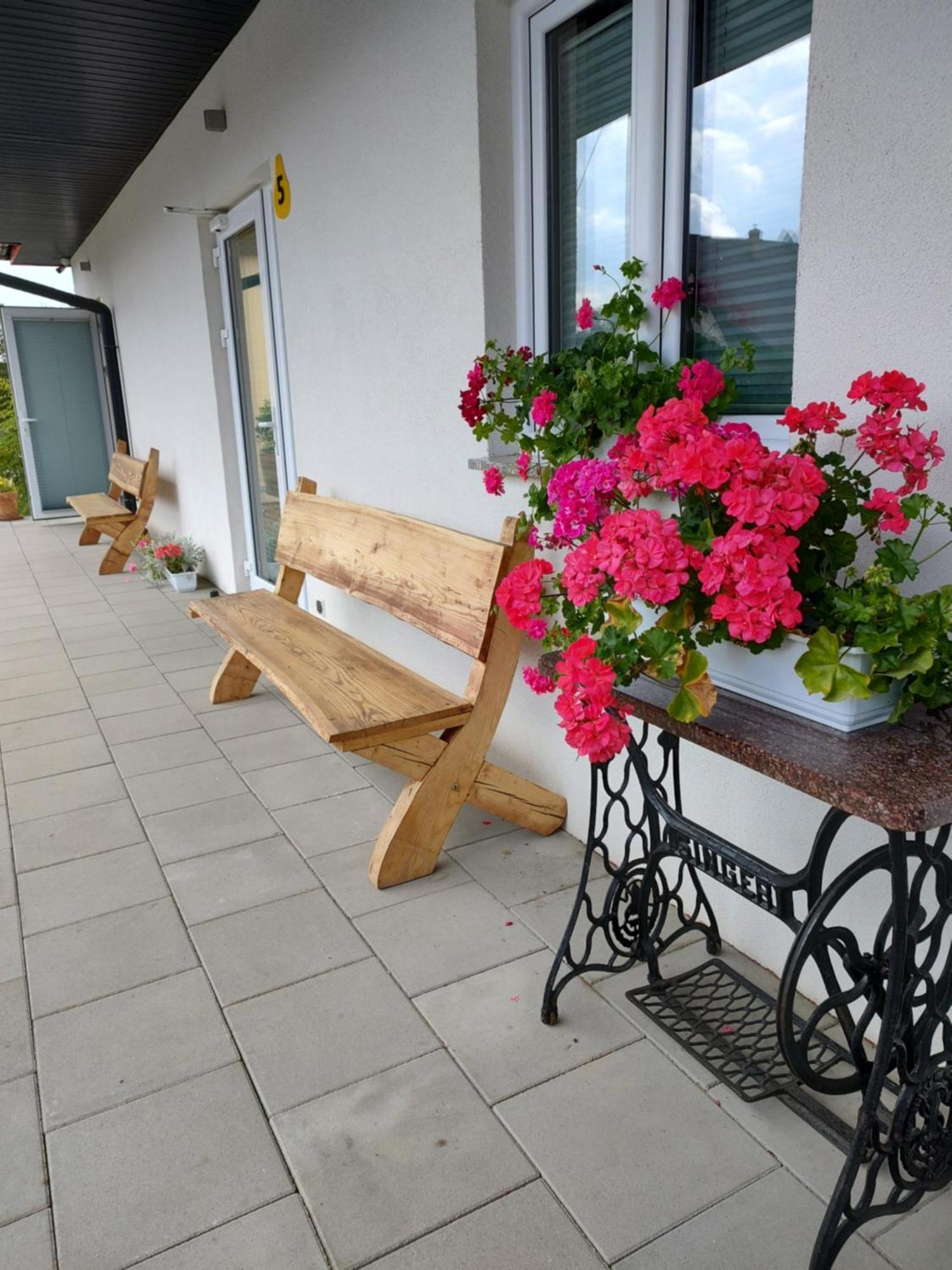 Pokoje Pod Grusza -Osobne Wejscia Kudowa-Zdrój Exterior foto